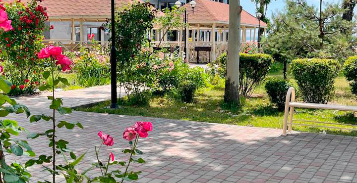 photo 2026 01 27 14 19 57