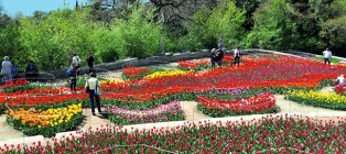 Парад тюльпанов. 2 дня в весеннем Крыму
