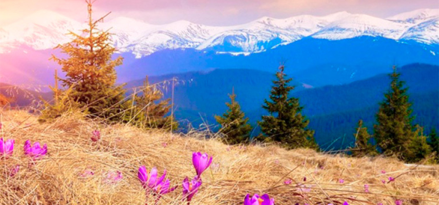 Натхнення Карпат. Ясіня, Буковель + цвітіння крокусів на Драгобраті