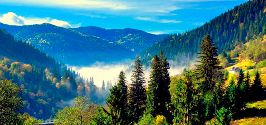 Натхнення Карпат. Ворохта - Яремче