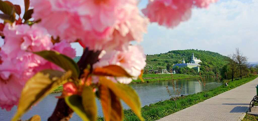 Транскарпатський вояж. Сакури та релакс